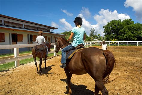 Maritim Equestrian Centre Mauritius on Le Grand Guide de l' île .